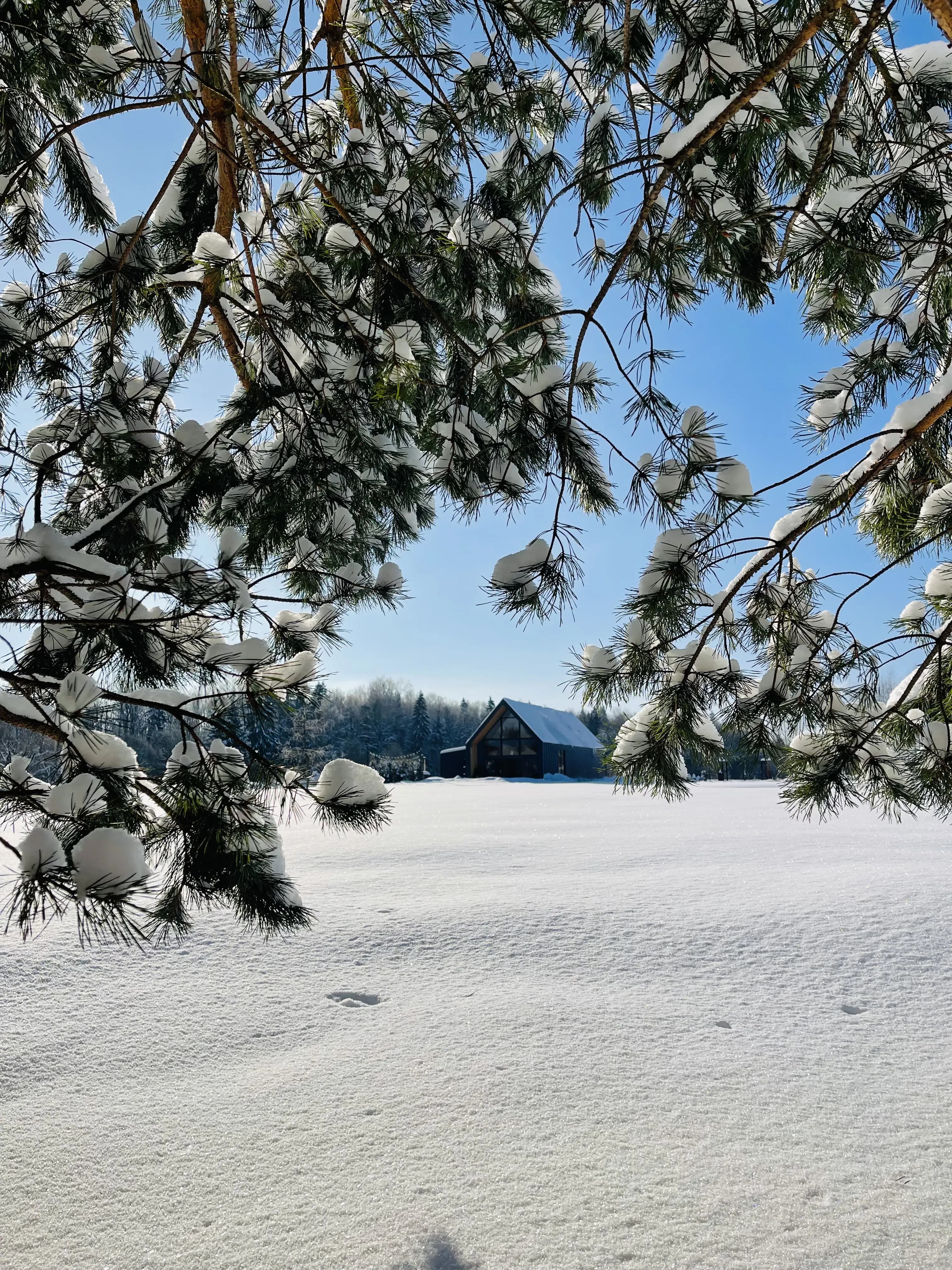 spa-from-forest-sun